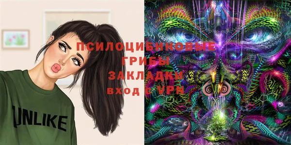 молекула духа Армянск