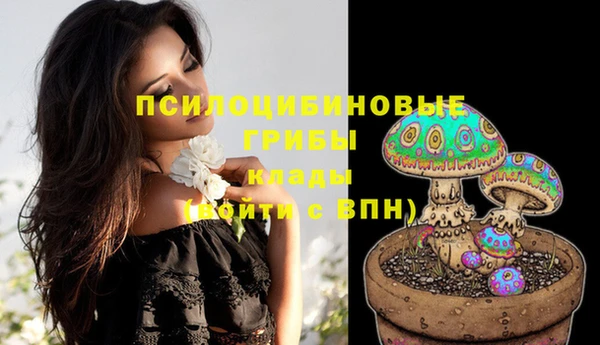 молекула духа Армянск